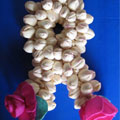 Shola from Tamil Nadu