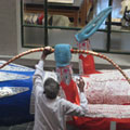 Weapons being placed, National Museum, Auckland