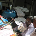 Shola Headgear being placed on the rama Figure, National Museum, Auckland