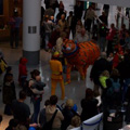 Animal Puppets at Sussex,UK